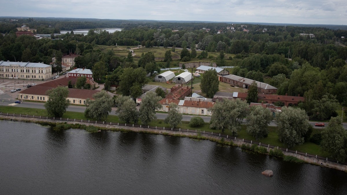 aerial view of green trees and houses near river during daytime